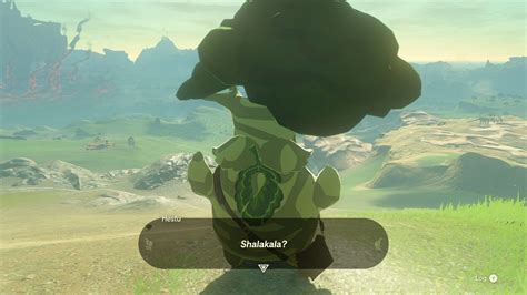 breath of the wild inventory expansion|Where to Find Hestu .